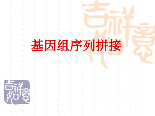 基因组序列拼接