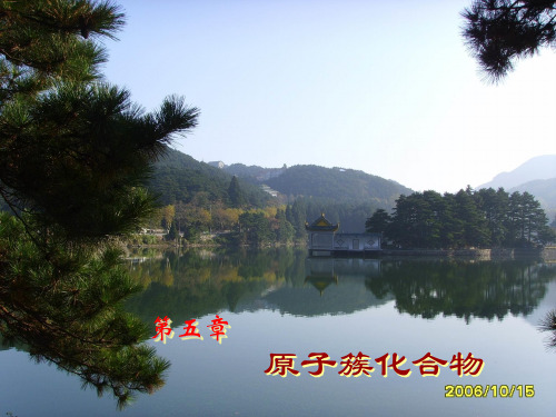 原子簇化合物-10