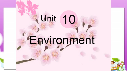 语文版中职英语(基础模块 下册)Unit 10《Environment》ppt课件3