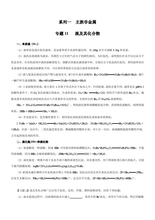 专题1-11：主族非金属-溴及其化合物(解析版)