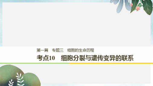高考生物二轮复习专题三细胞的生命历程考点10细胞分裂与遗传变异的联系课件