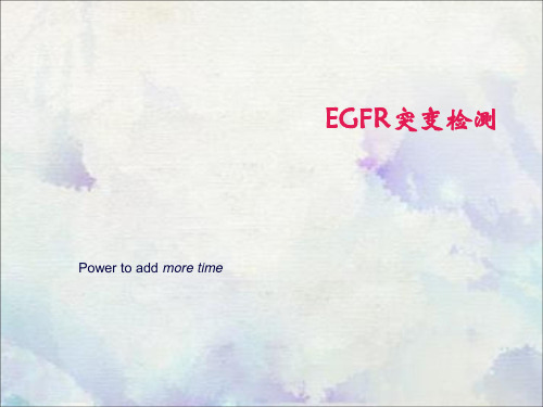 EGFR突变检测
