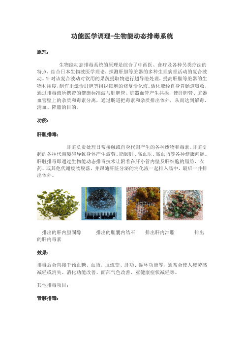 功能医学调理-生物能动态排毒系统