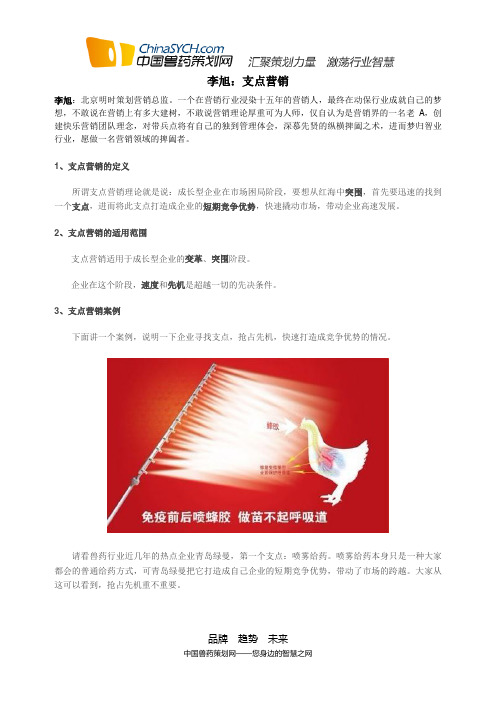李旭：支点营销