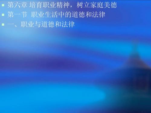 思修与法律8