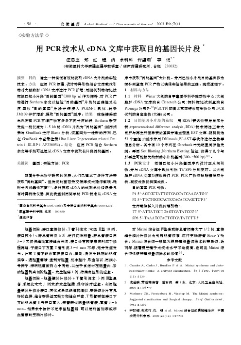 PCR cDNA方法学