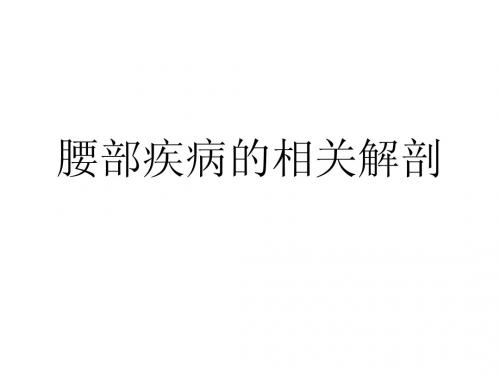 腰椎疾病相关解剖 Microsoft PowerPoint 演示文稿