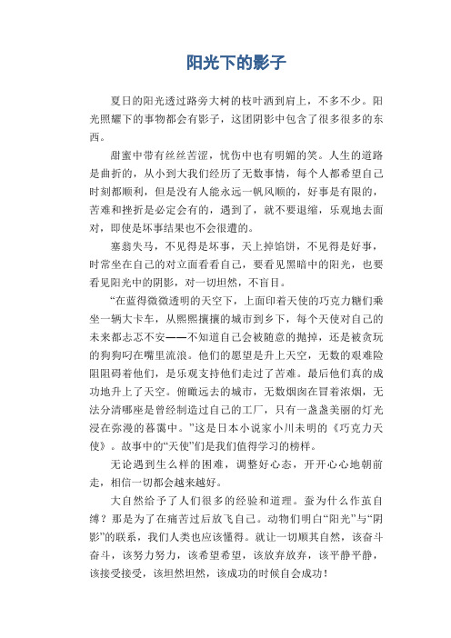 高中生优秀作文精选：阳光下的影子