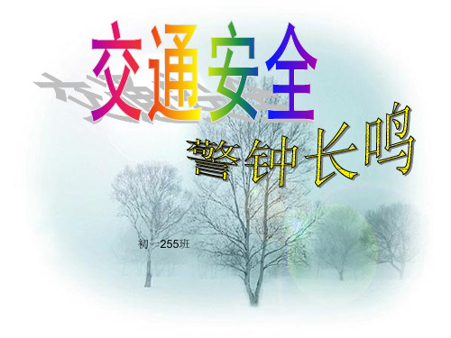 优秀主题班会课件：安全警钟长鸣.