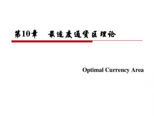 10 最适度通货区理论