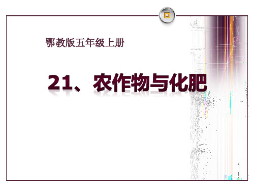 《农作物与化肥》农田PPT课件