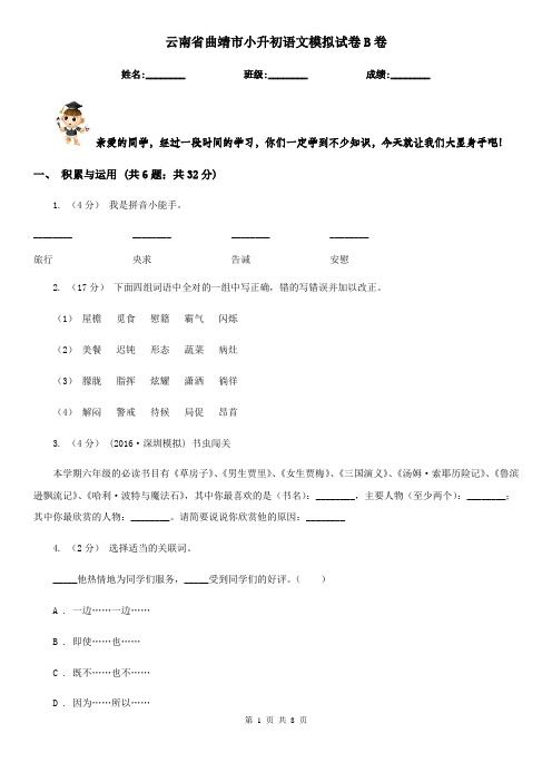 云南省曲靖市小升初语文模拟试卷B卷