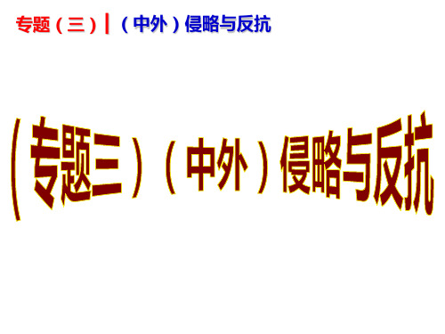 中考历史复习专题(专题3)(中外)侵略与反抗