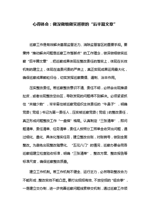 心得体会：做深做细做实巡察的“后半篇文章”