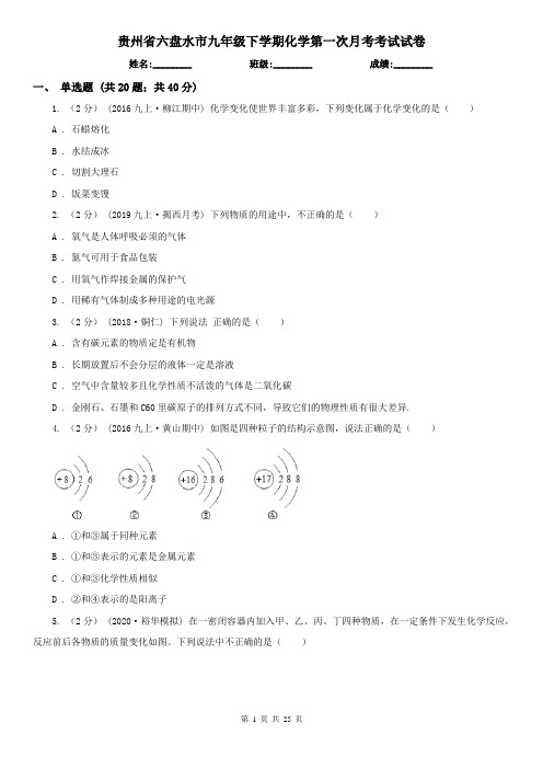 贵州省六盘水市九年级下学期化学第一次月考考试试卷