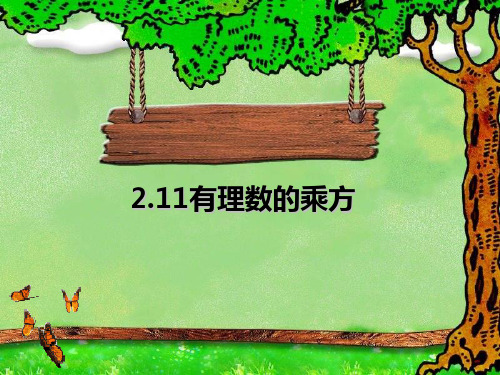 〔华东师大版〕有理数的乘方 教学PPT课件47