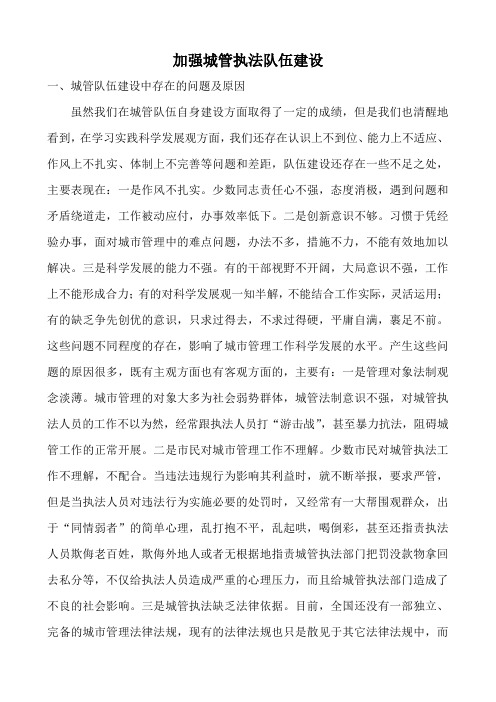 加强城管执法队伍建设