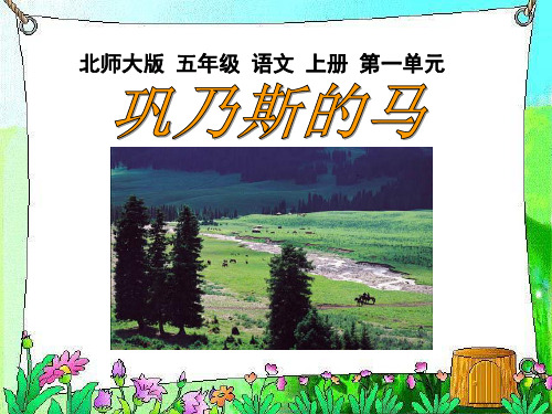《巩乃斯的马》PPT课件二