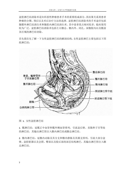 北医李睿医考盆腔淋巴结清扫术教程
