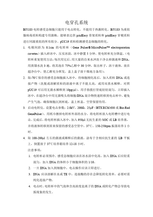 电穿孔系统
