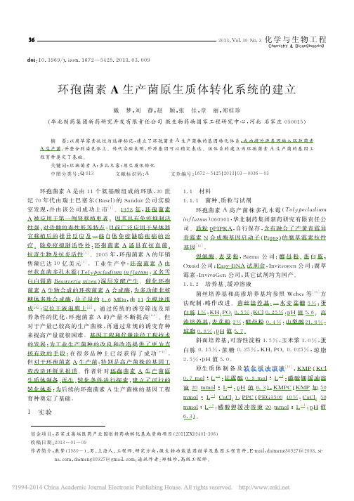 环孢菌素A生产菌原生质体转化系统的建立_戴梦