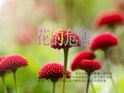 花的危害
