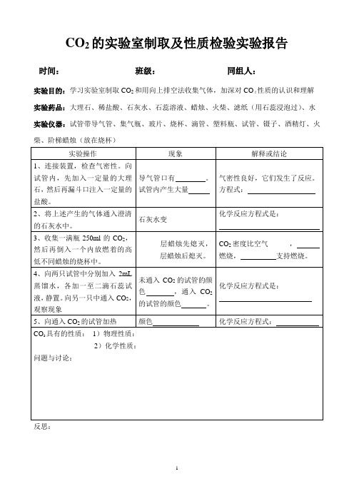 2011人教版   二氧化碳的实验室制取及性质检验实验报告
