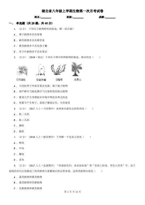 湖北省八年级上学期生物第一次月考试卷