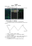 导线测量、三角高程、支导线计算说明