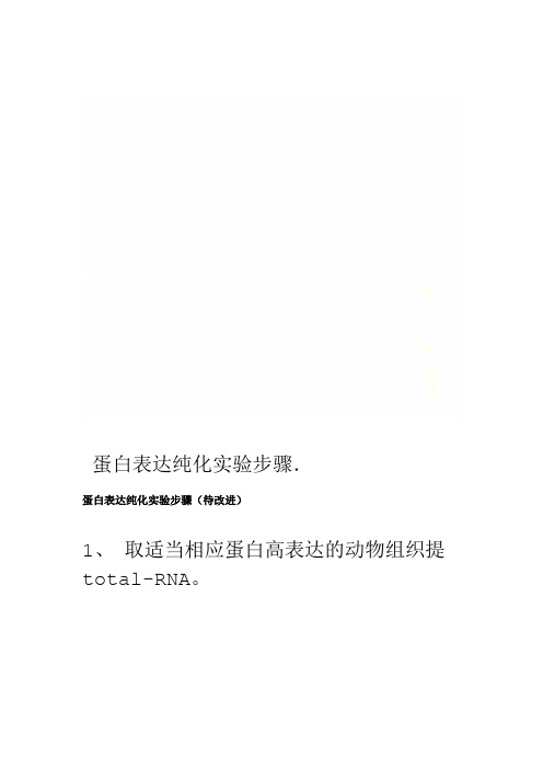 蛋白表达纯化实验步骤