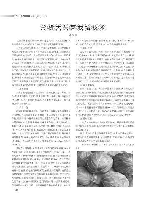 分析大头菜栽培技术