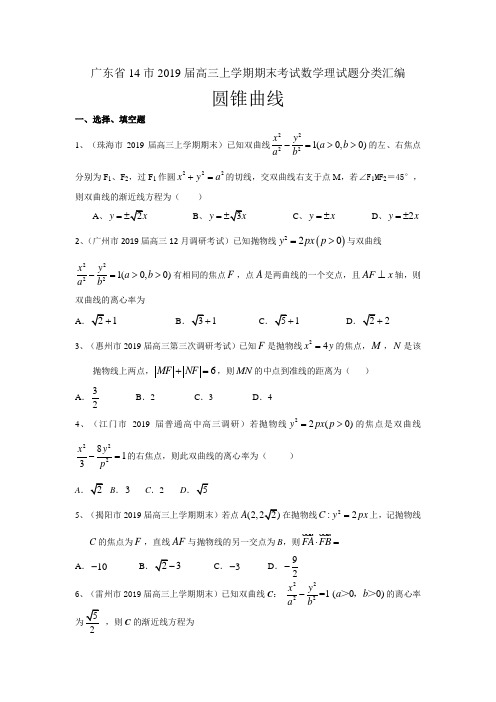 广东省14市2019届高三上学期期末考试数学理试题分类汇编：圆锥曲线