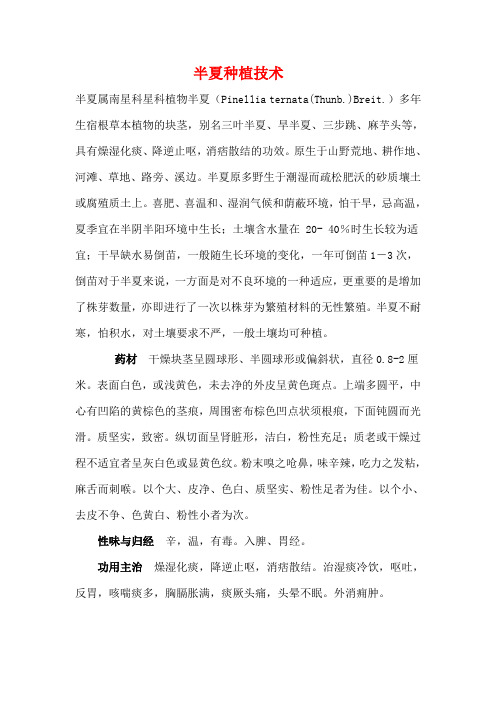 旱半夏种植技术