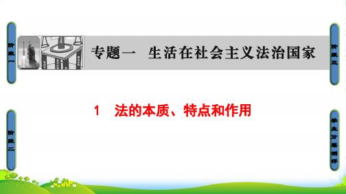 版高中政治人教版选修五课件：专题1 1 生活在社会主义法治国家