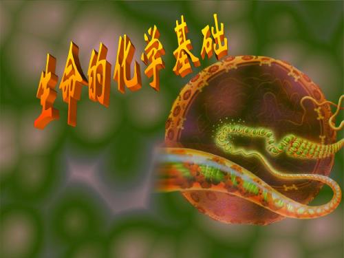 2生命的化学基础