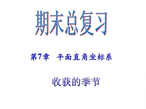 新人教版七年级下期末总复习(第7章平面直角坐标系)课件ppt