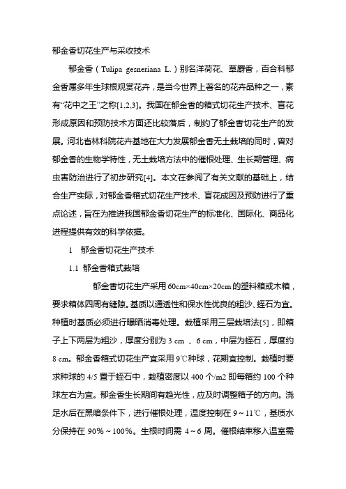 郁金香切花生产与采收技术