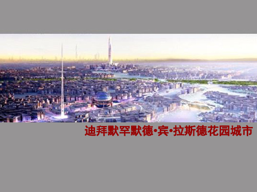 迪拜花园城市规划