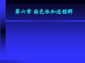 染色体和连锁群