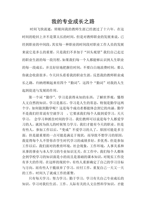 我的专业成长之路