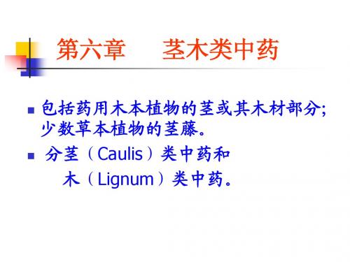 茎木类概述