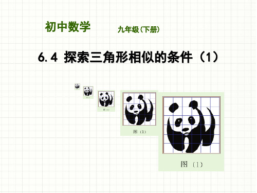 苏科版九年级数学下册《6章 图形的相似  6.4 探索三角形相似的条件  平行线分线段成比例定理及应用》课件_0