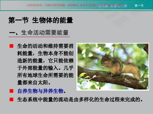 生命科学导论能量和代谢课件