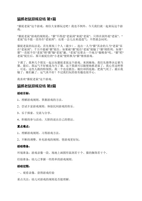 猫抓老鼠游戏总结(12篇)