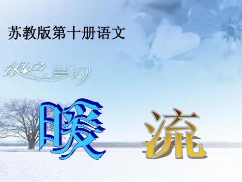 2《暖流》ppt课件