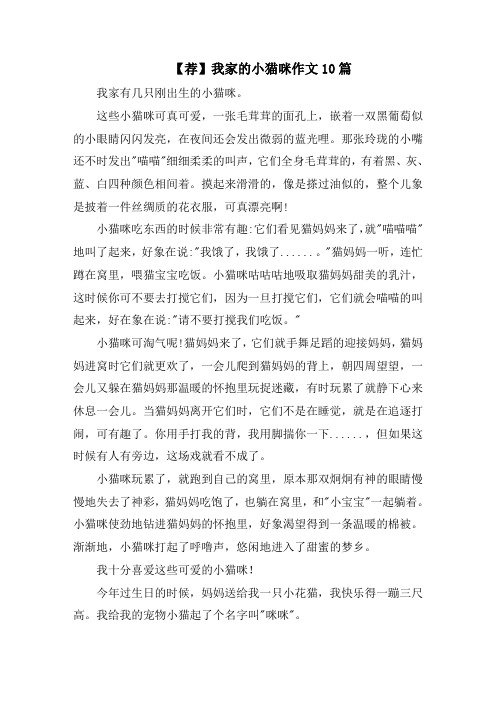 我家的小猫咪作文10篇精选范文