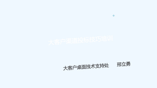 FY13大客户渠道投标技巧培训(打印版)