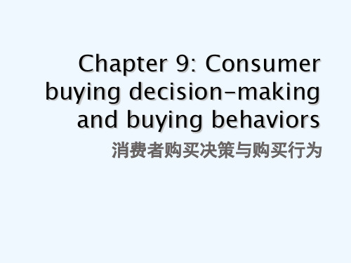 消费者行为学第九章