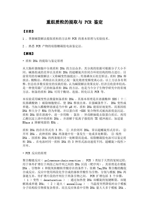 27 生物化学实验--重组质粒的提取与PCR鉴定