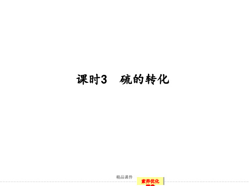 硫的转化 鲁科版高中化学一轮复习(配有doc练习)